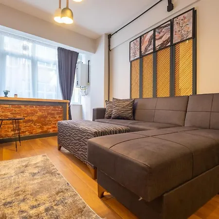 Cozy Flat With Central Location Close To Popular Attractions In Besiktas Lejlighed Istanbul