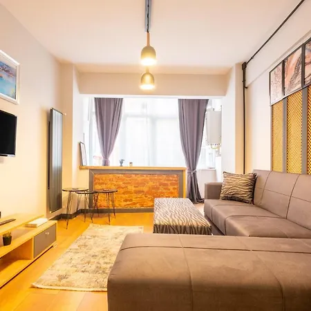 Cozy Flat With Central Location Close To Popular Attractions In Besiktas Lejlighed *