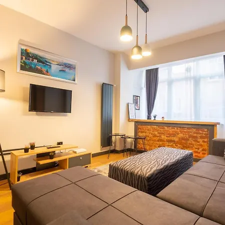 Cozy Flat With Central Location Close To Popular Attractions In Besiktas Lejlighed *