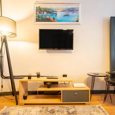 Lejlighed Cozy Flat With Central Location Close To Popular Attractions In Besiktas Istanbul